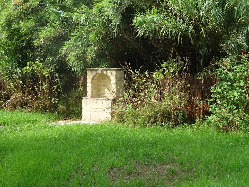 Palm Tree Oriental House And Homestay Polis Extérieur photo