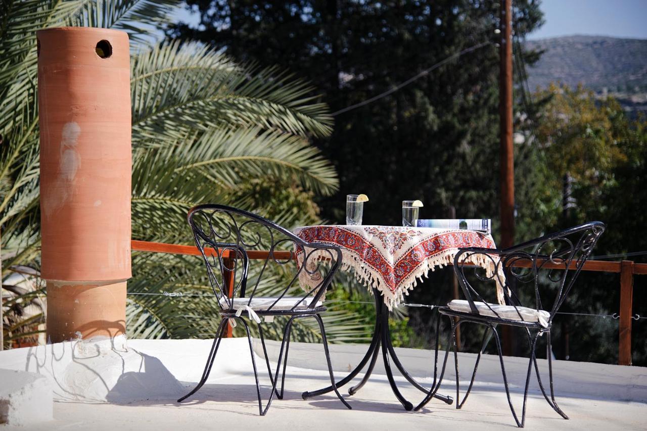 Palm Tree Oriental House And Homestay Polis Extérieur photo
